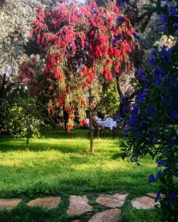 Datca Masal Gibi Εξωτερικό φωτογραφία